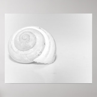 Poster Coquille d'escargot blanc Photographie minimaliste