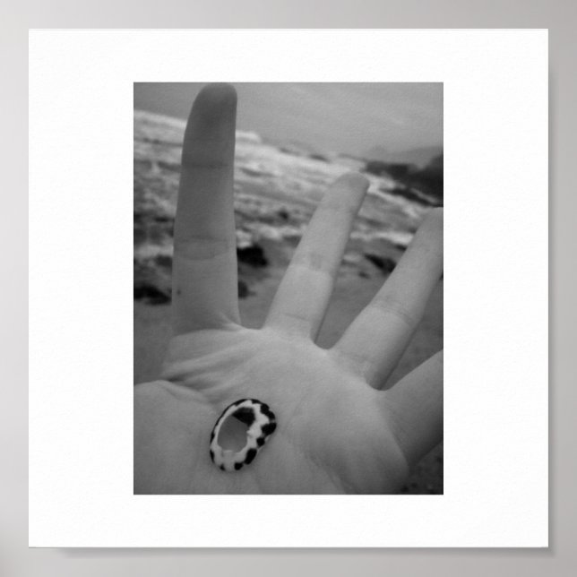 Poster Coquille en main (Devant)