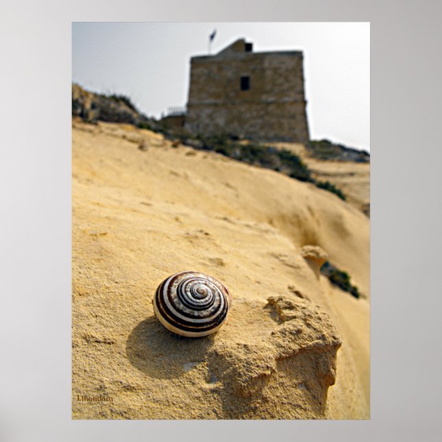 Poster Coquille et tour, Gozo (Devant)