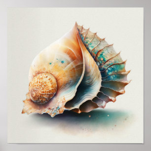 Poster Coquille inspirée du Conch doré avec des ombres sa