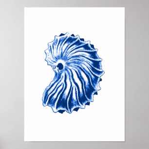 Poster Coquille spirale, bleu indigo et blanc