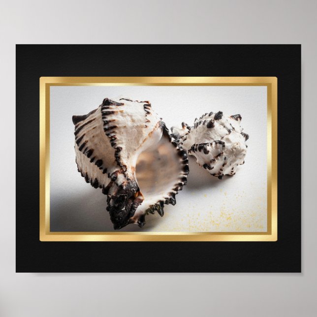 Poster Coquille tropicale noire et or Art imprimable (Devant)