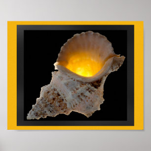 Poster Coquille tropicale noire et or Art imprimable