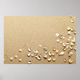 Poster Coquilles de mer sur le sable