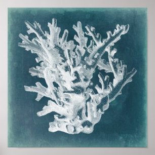 Poster Corail azuré I