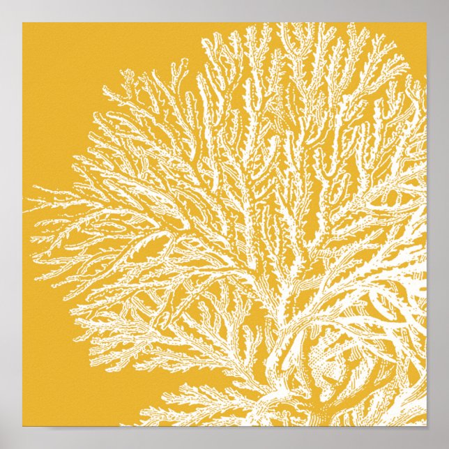 Poster Corail jaune et blanc (Devant)