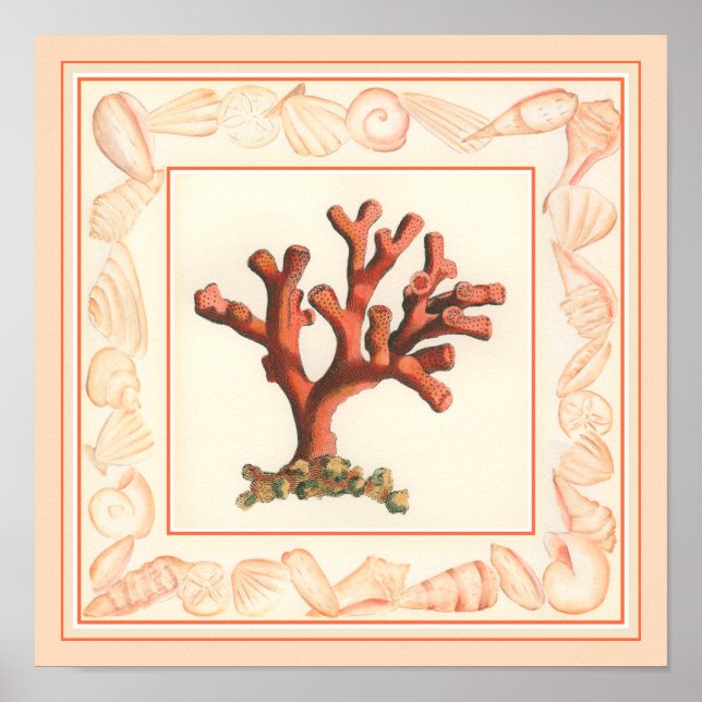 Poster Corail rouge avec bordure conique (Devant)