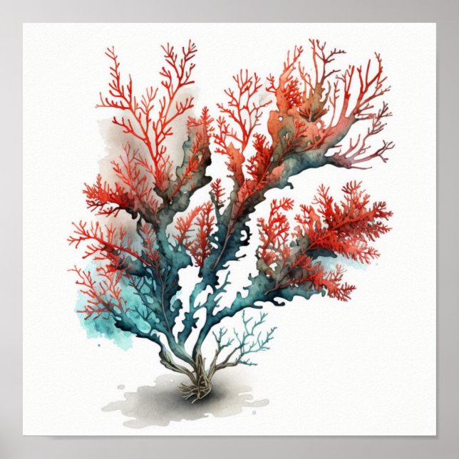 Poster Corail rouge dans l'aquarelle (Devant)