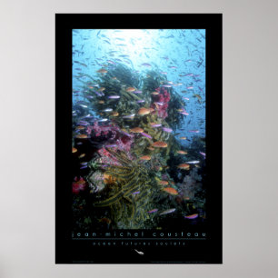 Poster Coral Reef