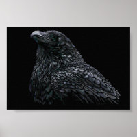 Corbeau