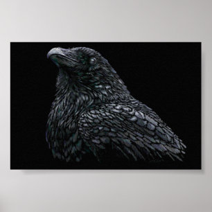 Poster Corbeau