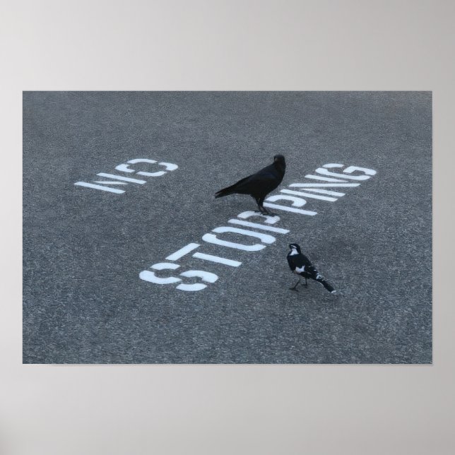 Poster Corbeau et pie (Devant)