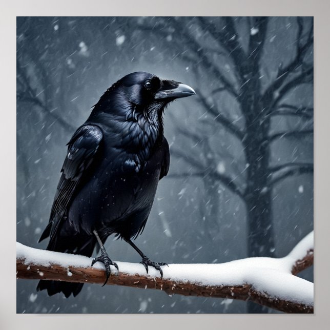 Poster Corbeau noir foncé (Devant)