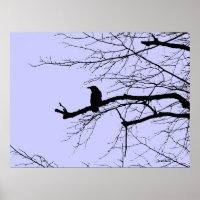 Corbeau sur l'arbre