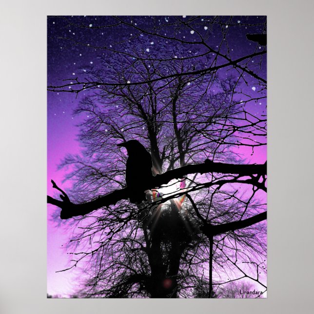 Poster Corbeau sur l'arbre (Devant)