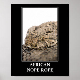 Poster Corde africaine à corde - Puff adder Snake Danger