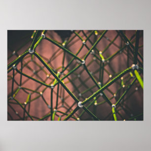 Poster Corde verte et noire