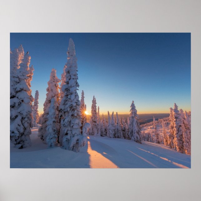 Poster Corégone, Montana (Devant)