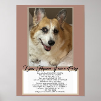 Poster Corgi parle