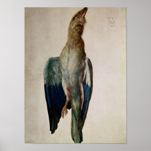 Poster Corneille bleue, 1512