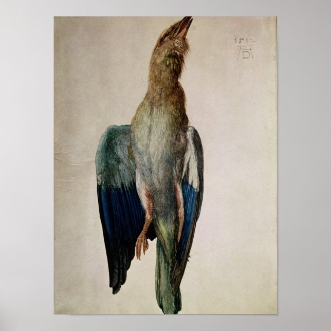 Poster Corneille bleue, 1512 (Devant)