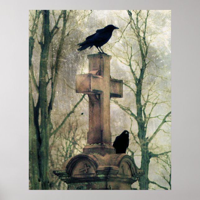 Poster Corneilles (Devant)