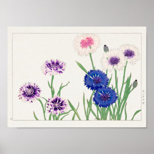 Poster Cornflower de Tanigami Konan
