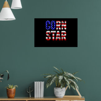 Poster Cornhole Funny Bean Bag Toss Corn Star USA Flag