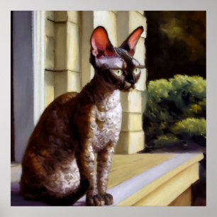 Poster Cornish Rex Cat