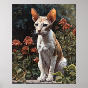 Poster Cornish Rex Cat Art Imprimer