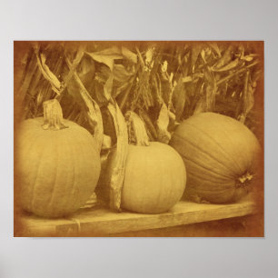 Poster Cornouailles citrouilles Chute Vintage