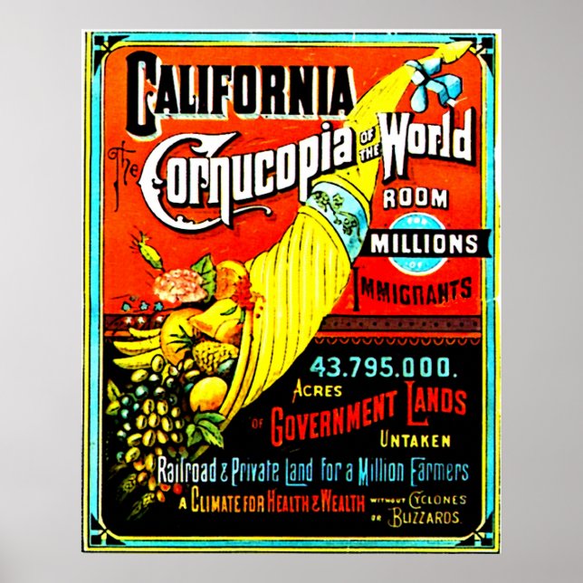 Poster Cornucopia - Imprimer (Devant)