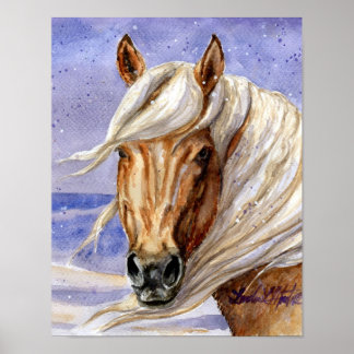 Poster Corona du bassin de lavage de sable HMA Colorado