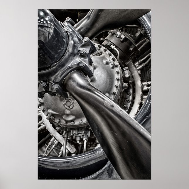 Poster Corsair (Devant)