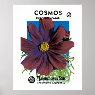 Poster Cosmos