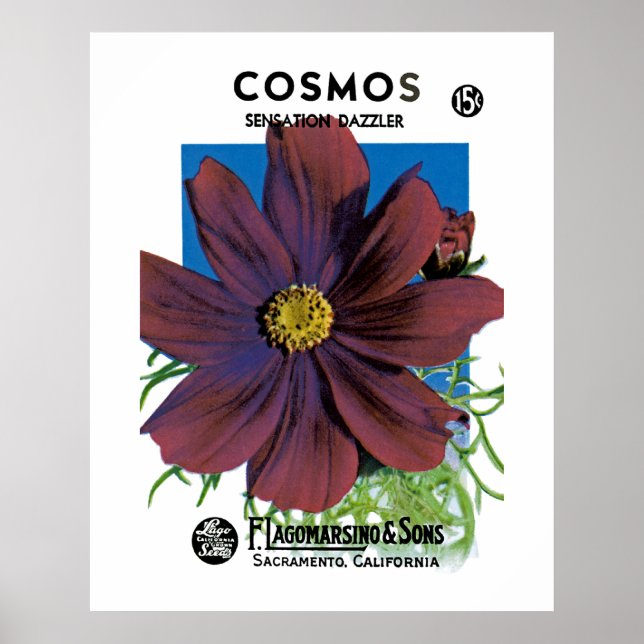 Poster Cosmos (Devant)