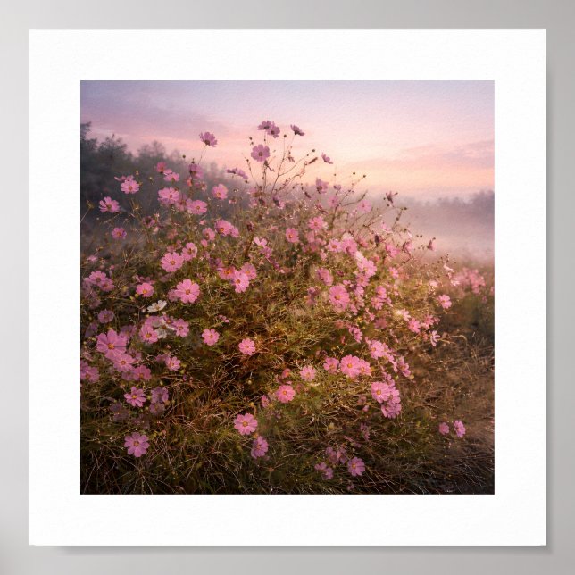Poster Cosmos at Quiet Dawn – Soft Morning Meadow  (Devant)