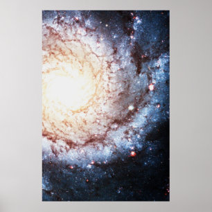Poster Cosmos colorés