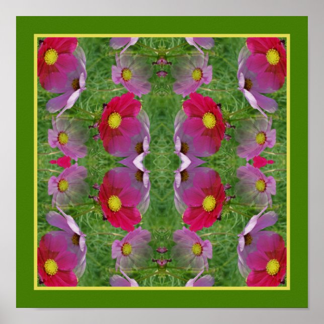 Poster Cosmos Fleurs de marguerite miroir nature Abstrait (Devant)