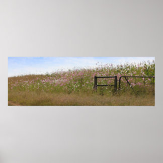 Poster Cosmos Fleurs le long de la clôture