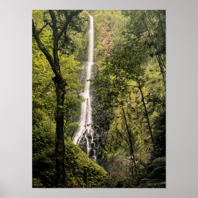 Poster Costa Rica, île Cocos, Cascade de la baie Wafer (Devant)