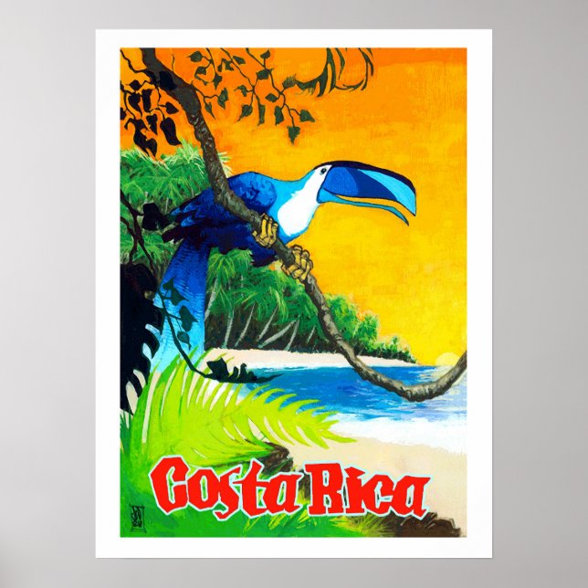 Poster Costa Rica, perroquet exotique sur la plage, vinta (Devant)