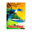 Costa Rica, perroquet exotique sur la plage, vinta