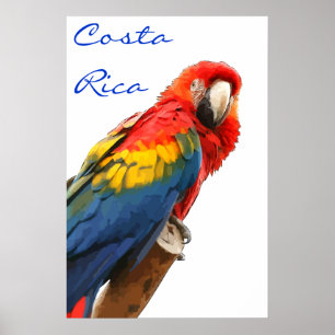 Poster Costa Rica Scarlet Macaw