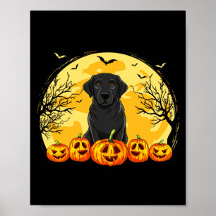 Poster Costume d'Halloween citrouilles chien Labrador noi