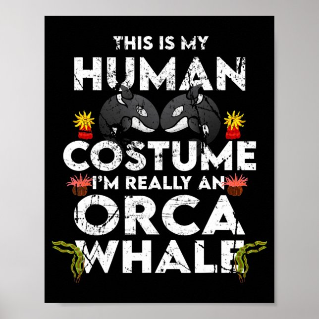 Poster Costume Hilarié Orca Halloween (Devant)