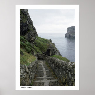 Poster Côte basque - G Shepard