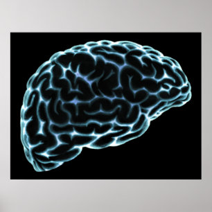 POSTER CÔTÉ CERVEAU XRAY VOIR BLEU