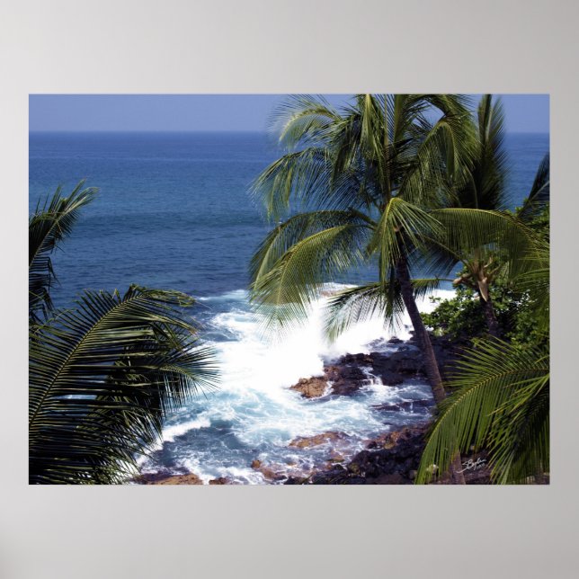 Poster Côte de Kona 2 (Devant)