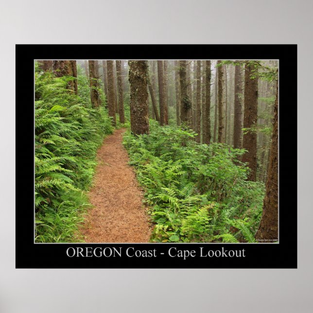 Poster Côte de l'Oregon - Cape Lookout (Devant)